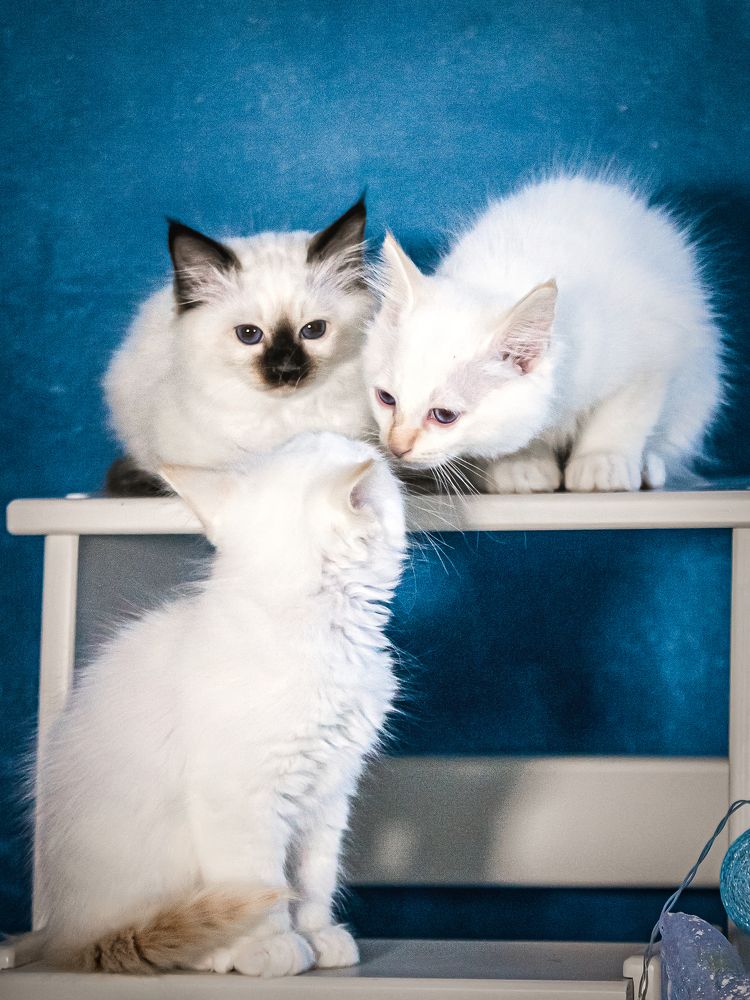 Photograph by Юлия Калугина