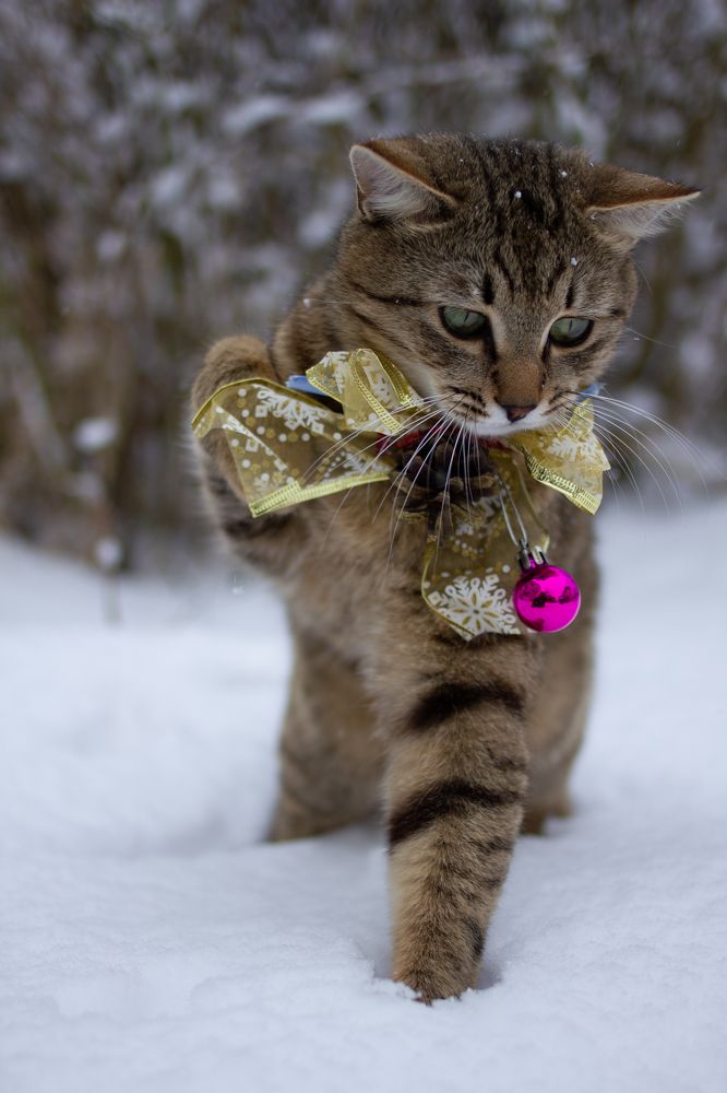 Photograph by z14photo