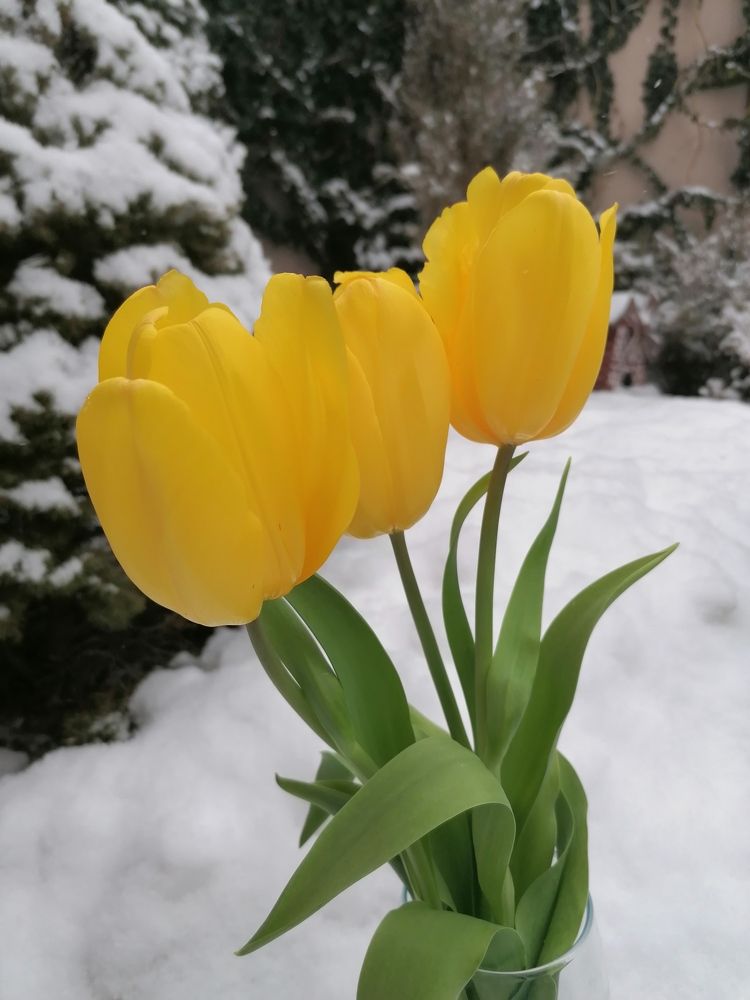 Photograph by Галина Смирнова