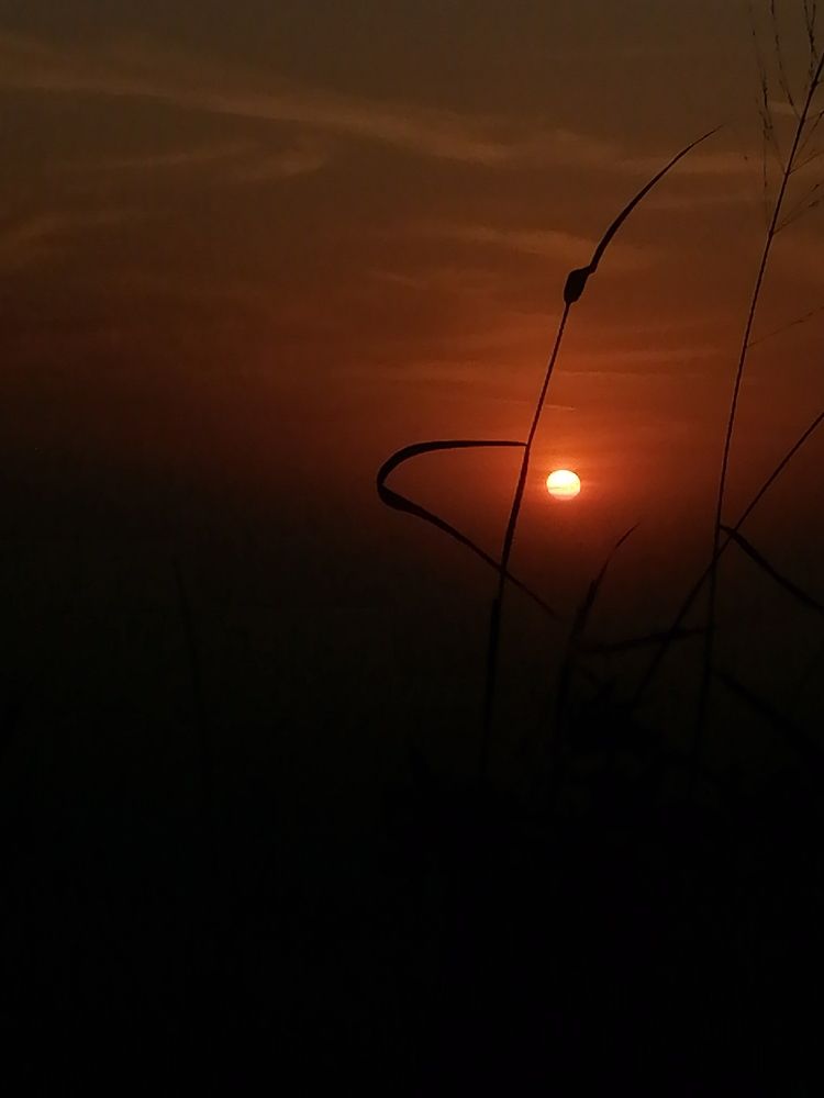 Photo #9004941