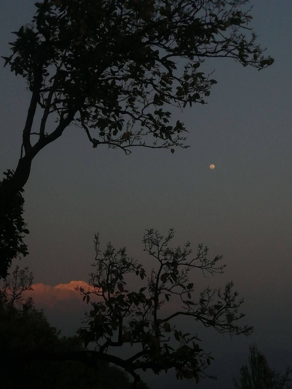 Photo #9004943