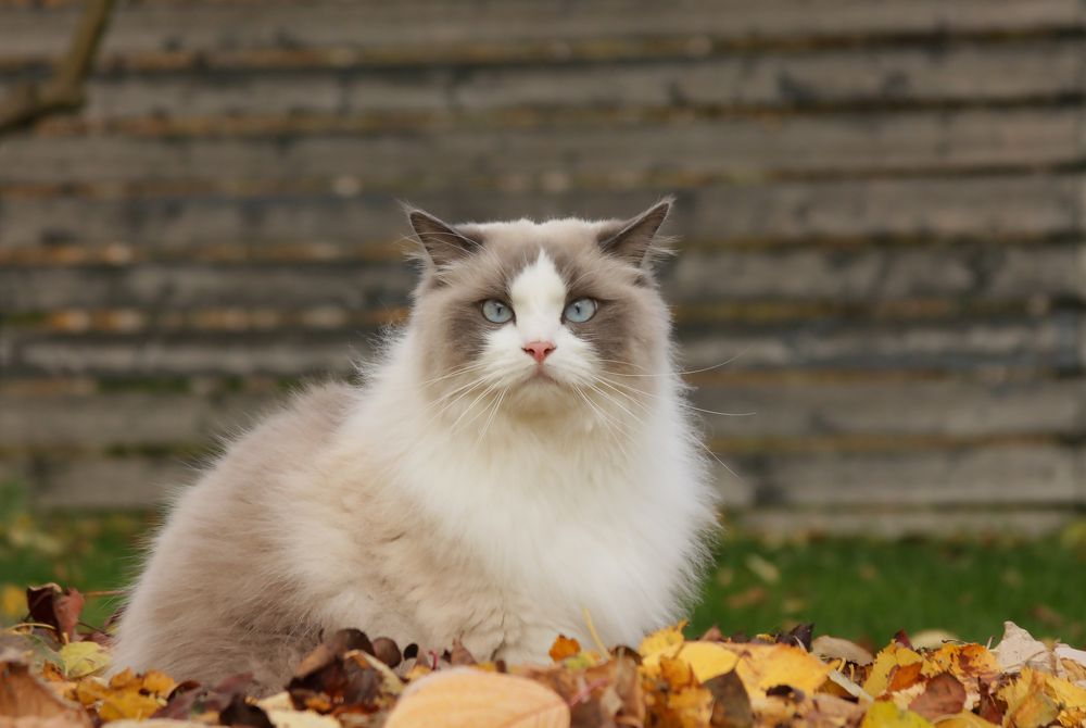 Photograph by Агнес