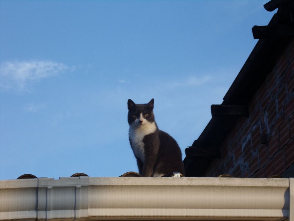 Photograph by Claudia Ramírez Salcedo