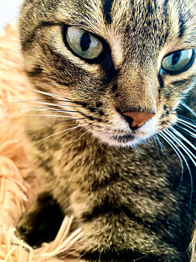 Photograph by Александра Гонтарь