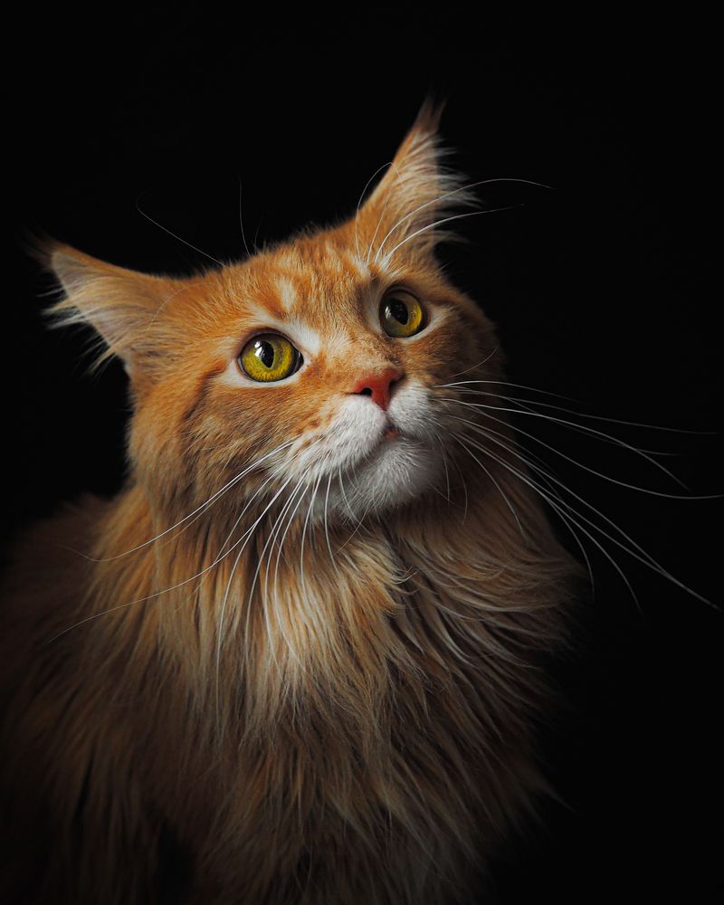 Photograph by Лейла Прощина