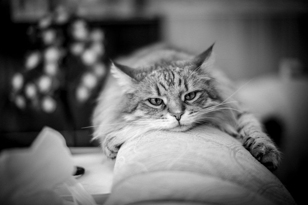 Photograph by Геннадий