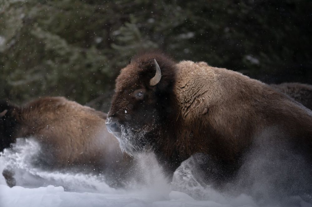 Photograph by Riley King