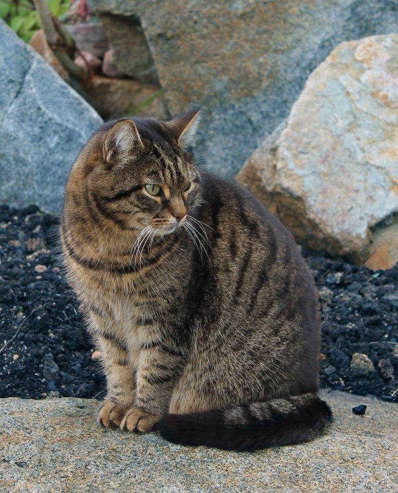 Photograph by Елена Шихалева