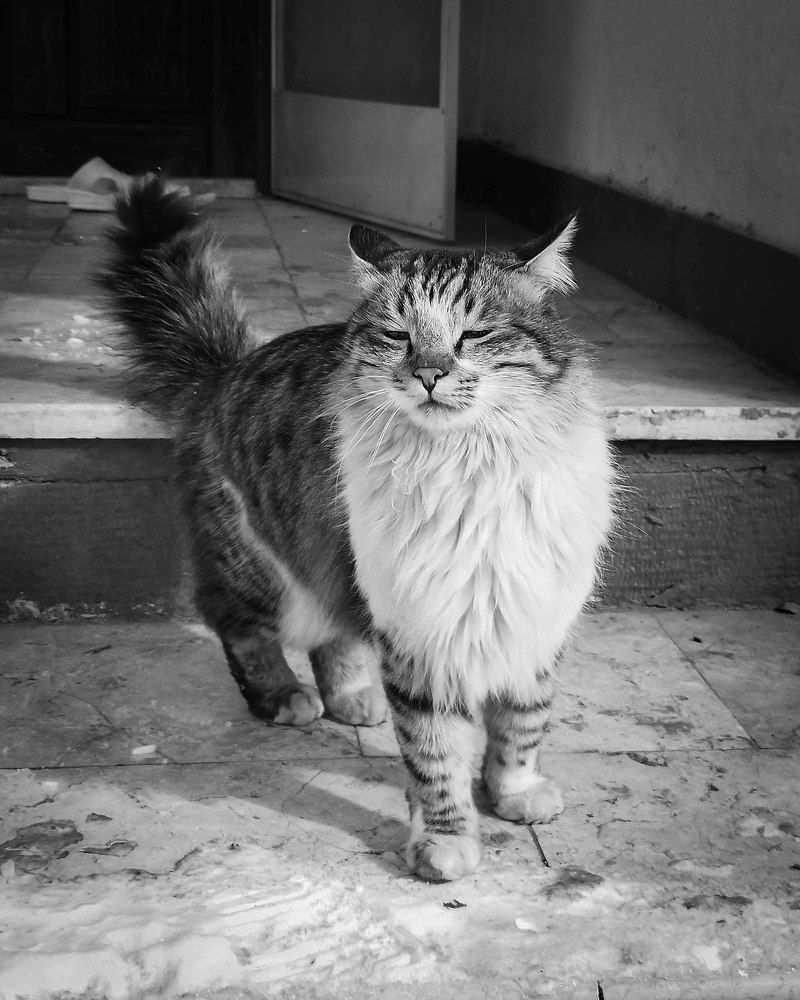 Photograph by safoura asghari