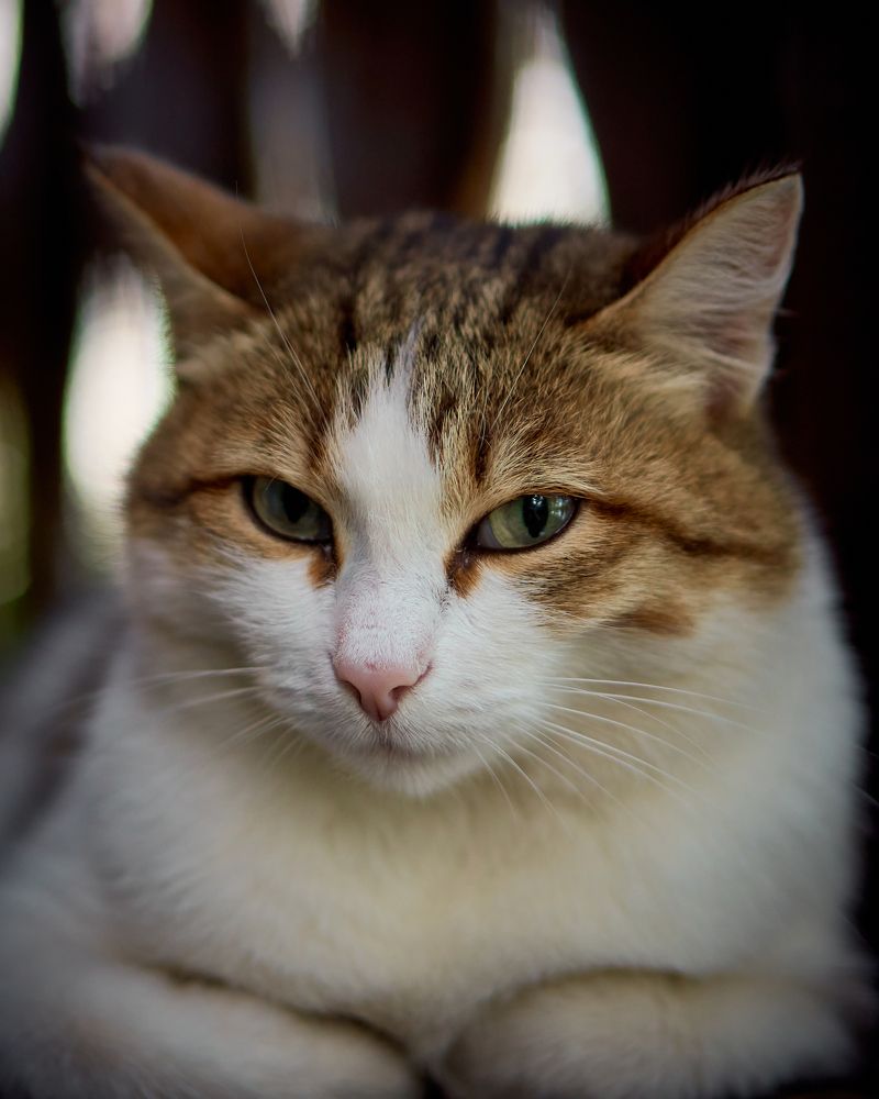 Photograph by Евгений Имамутдинов