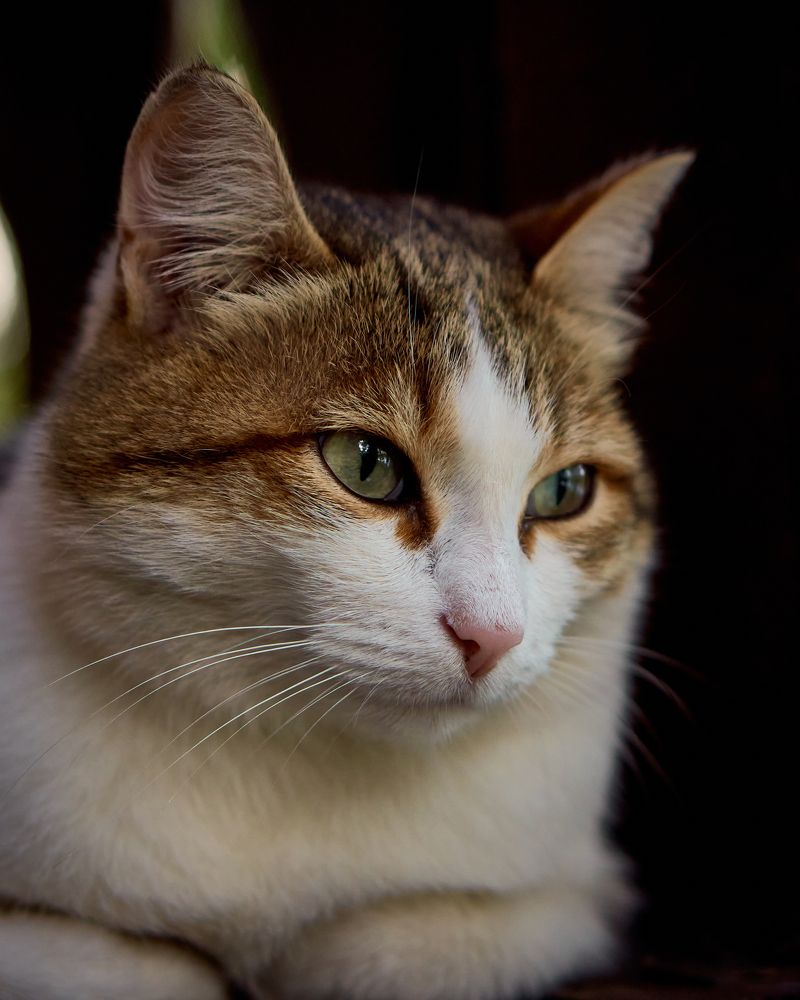 Photograph by Евгений Имамутдинов