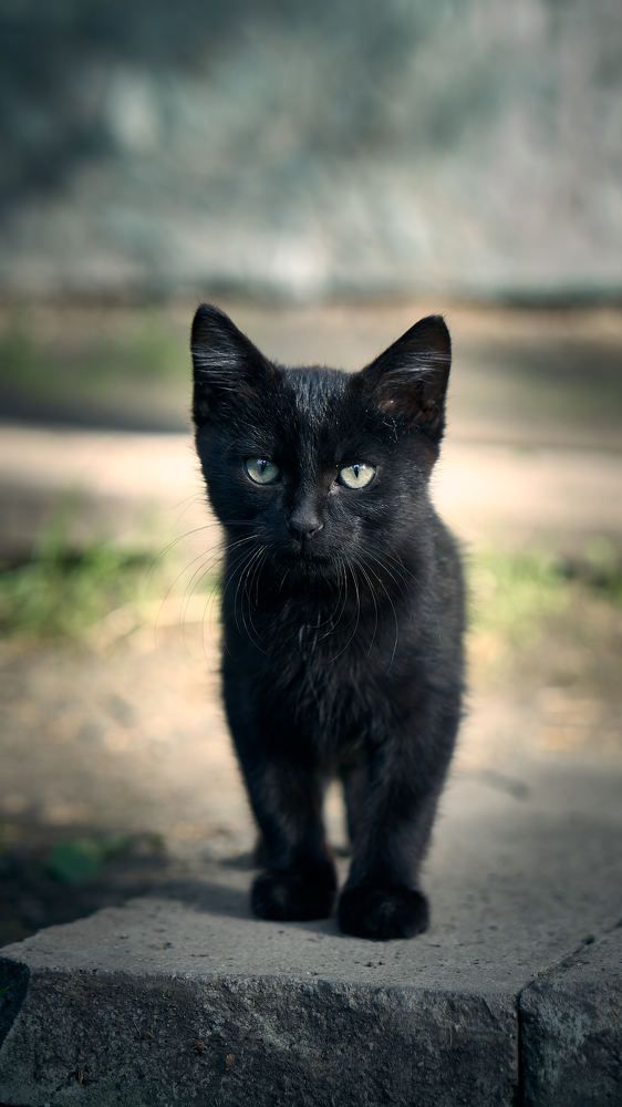 Photograph by Евгений Имамутдинов