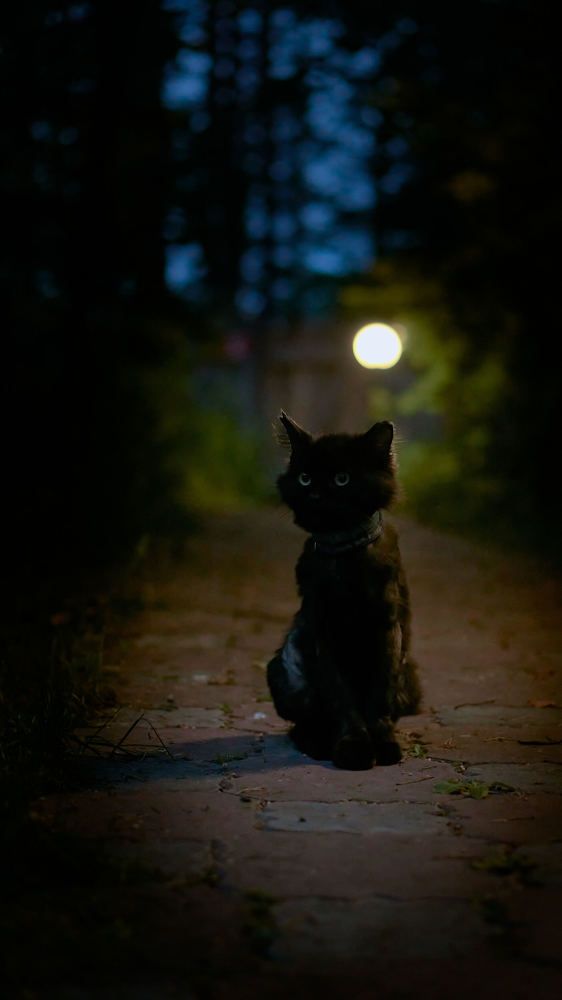 Photograph by Евгений Имамутдинов