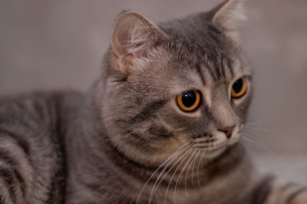 Photograph by Сергей Витвицкий