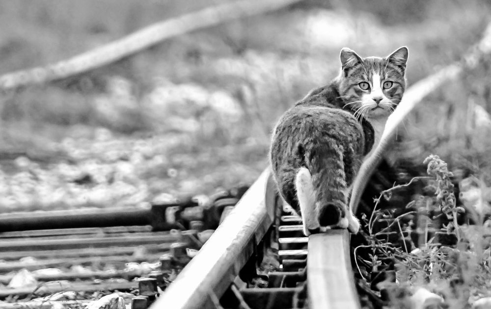 Photograph by Stamen Sotirov