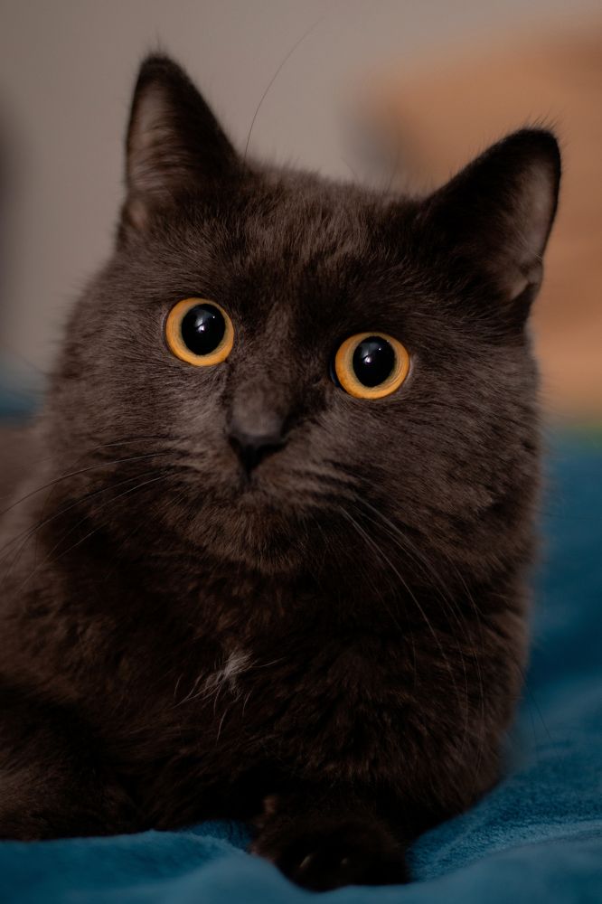 Photograph by Сергей Витвицкий