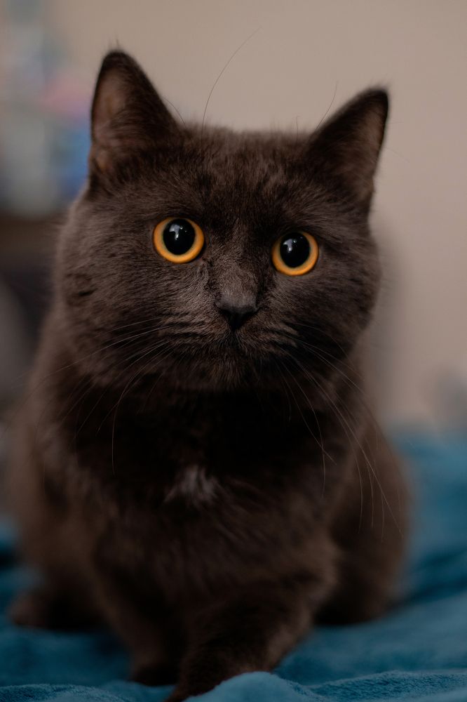 Photograph by Сергей Витвицкий