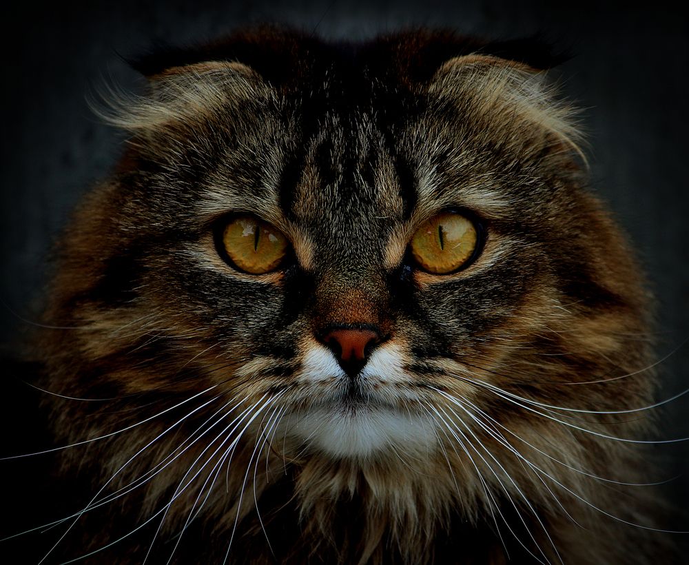 Photograph by Зоя Быкова