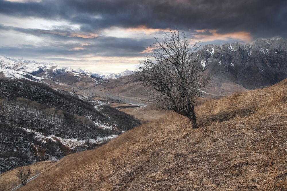 Сила Северной Осетии
