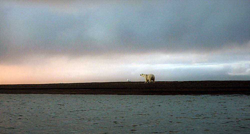 Photograph by Nirmalya Chakraborty