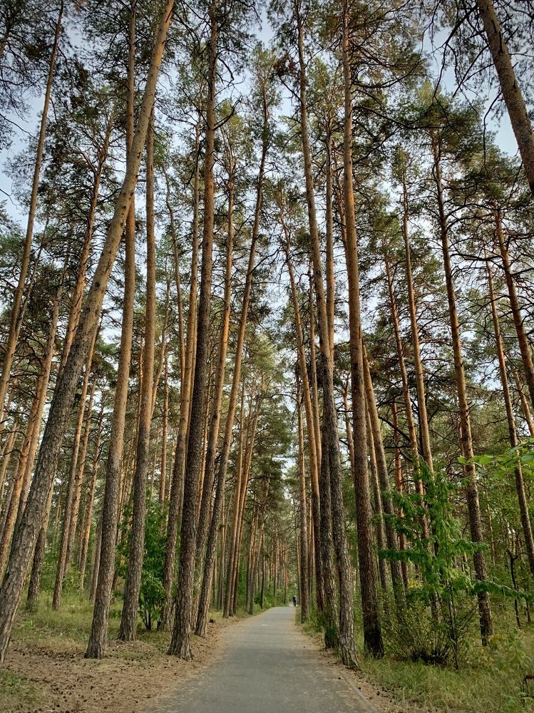 Photograph by Алёна Чарикова