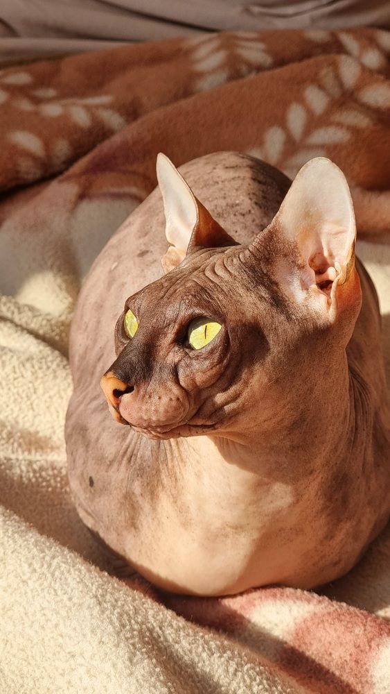 Photograph by Альбина Гайфуллина