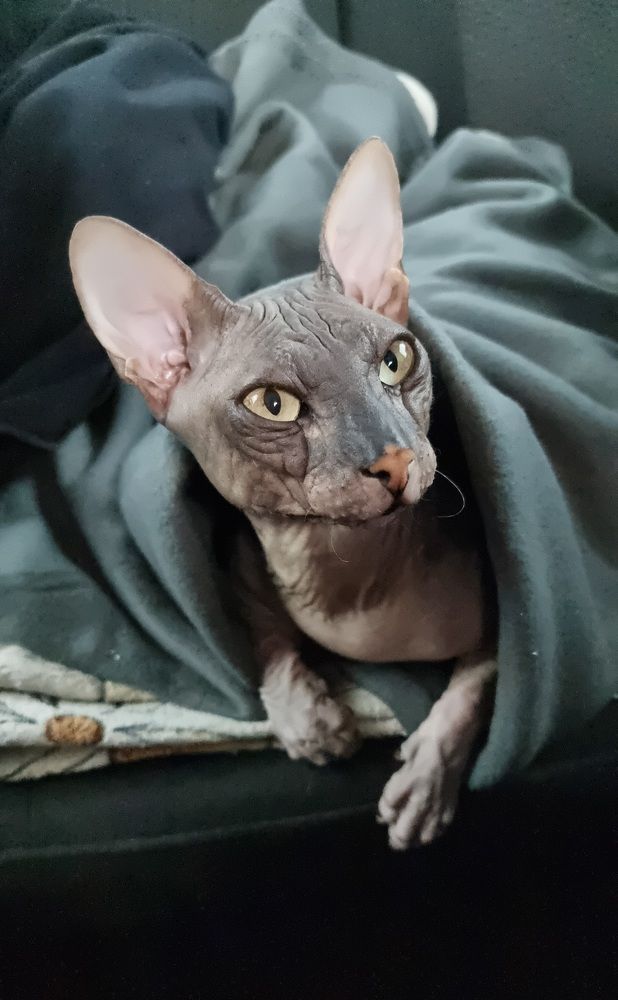 Photograph by Альбина Гайфуллина