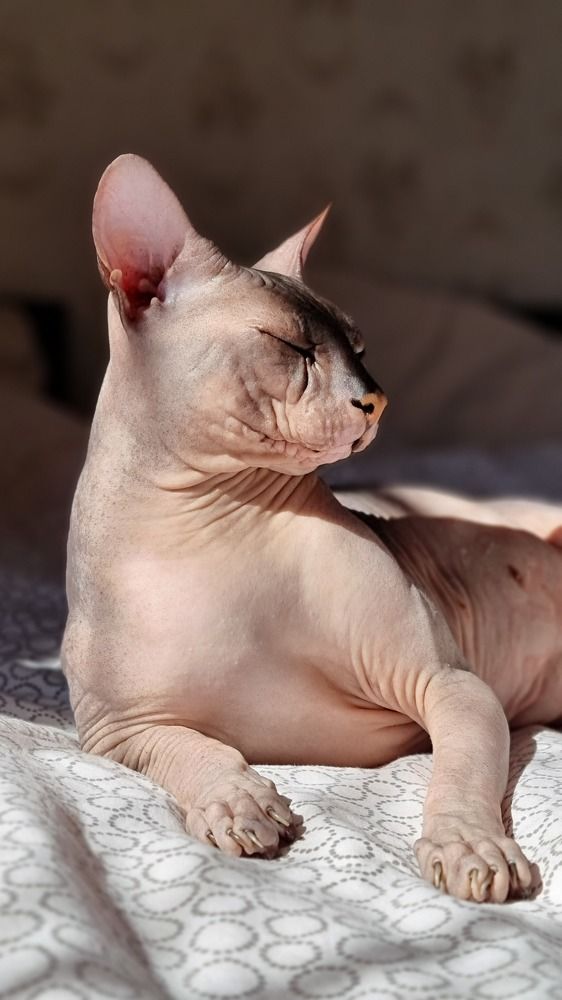 Photograph by Альбина Гайфуллина