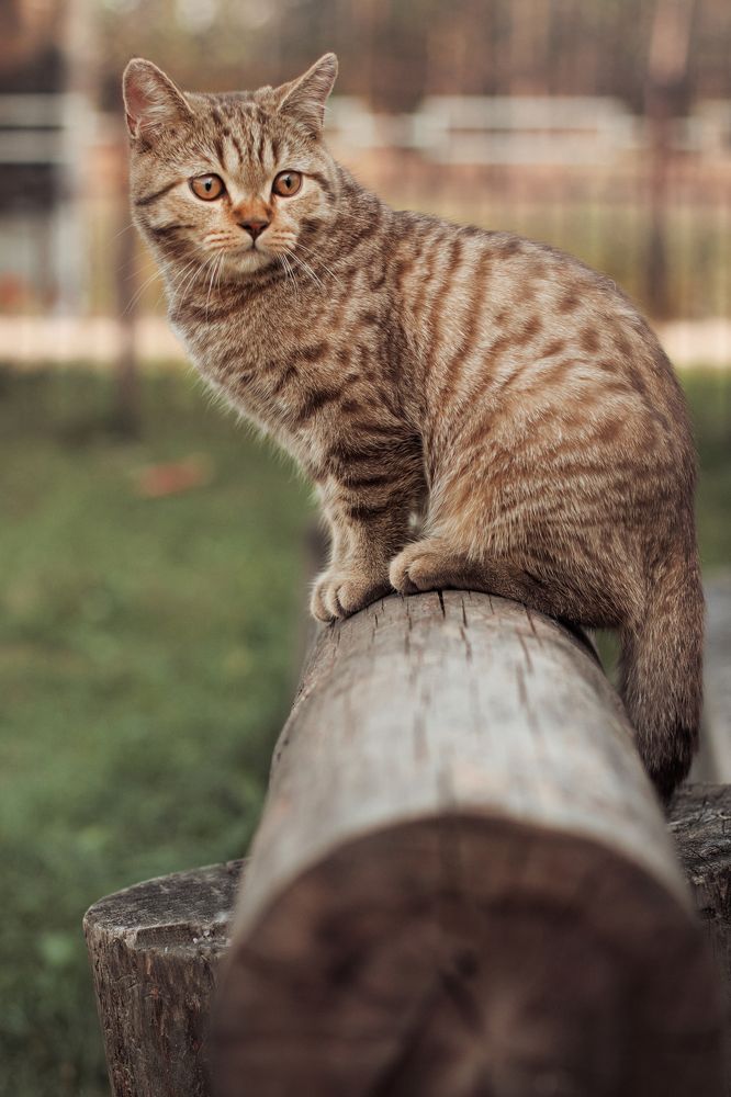 Photograph by Марина Григорьева