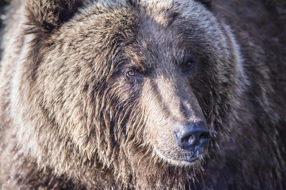 Photograph by Алексей Шаскольский