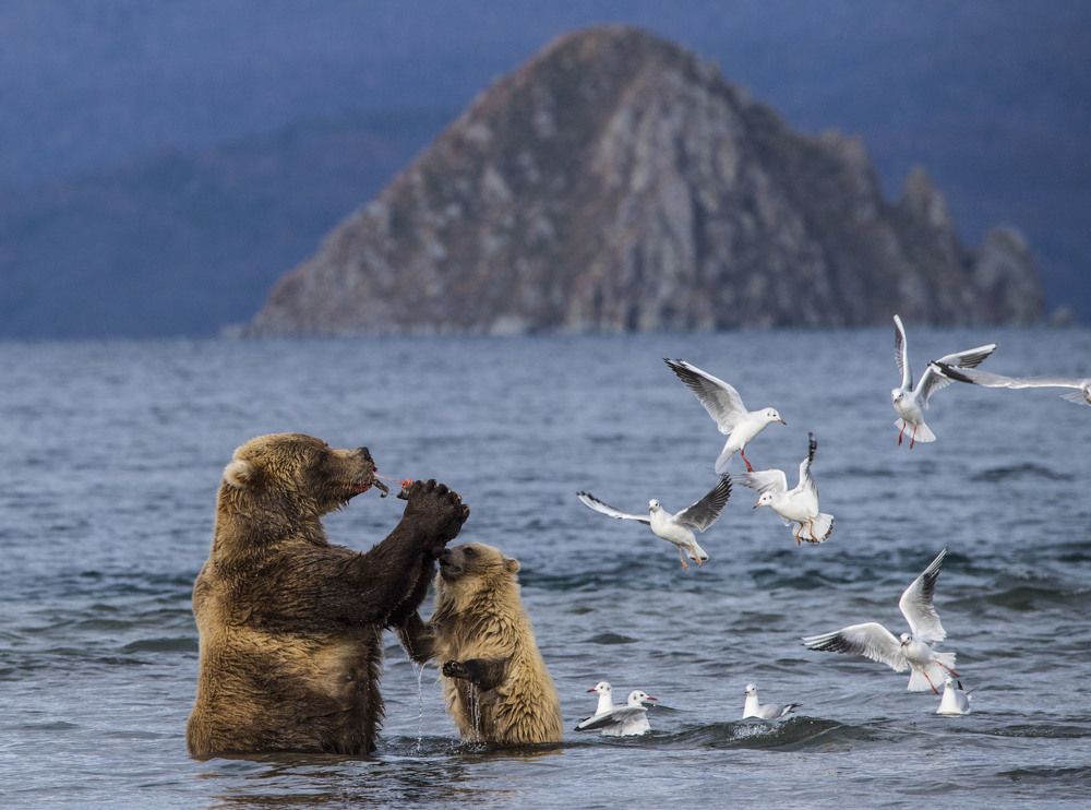 Photograph by Алексей Шаскольский