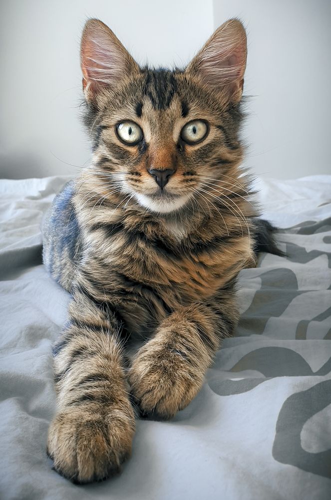 Photograph by Stamen Sotirov