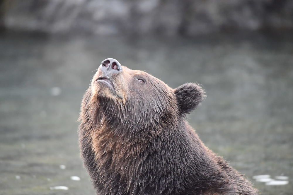 Photograph by Алексей Шаскольский