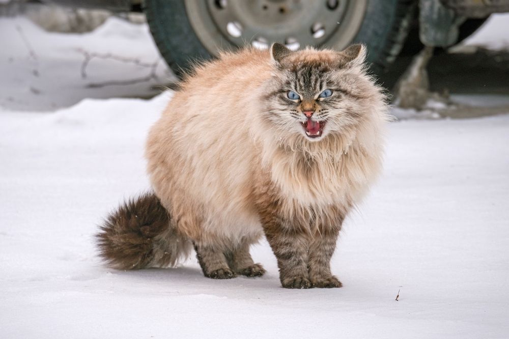 Photograph by Ольга Тюрина