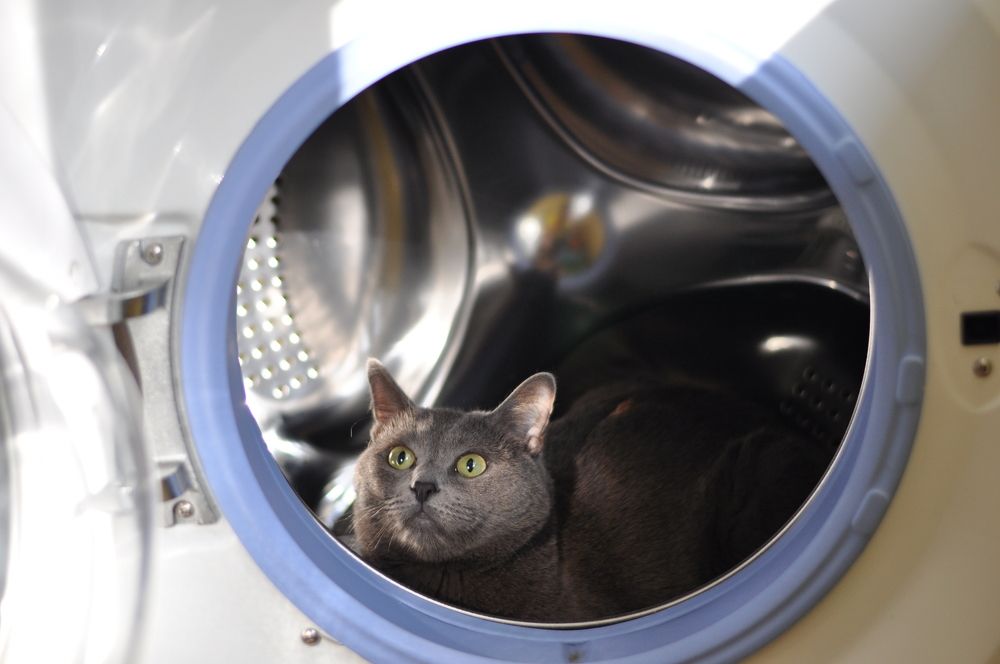 Photograph by Alexander Ornatskiy