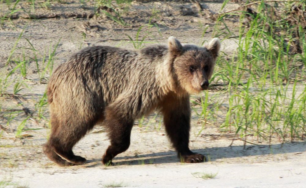 Photograph by Сергей Хитра