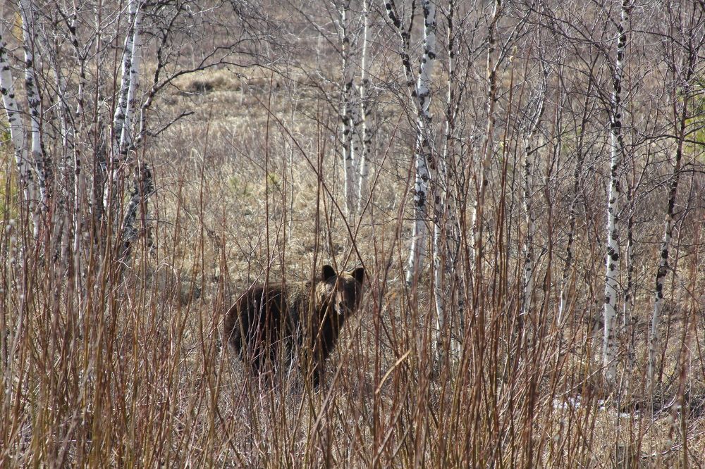 Photograph by Сергей Хитра