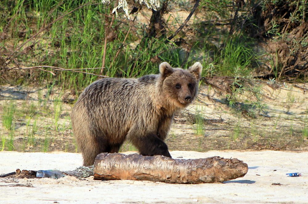 Photograph by Сергей Хитра