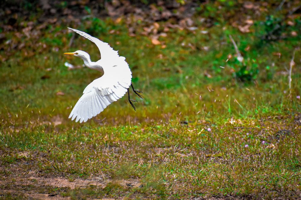 Photograph by Hussain Mahammad