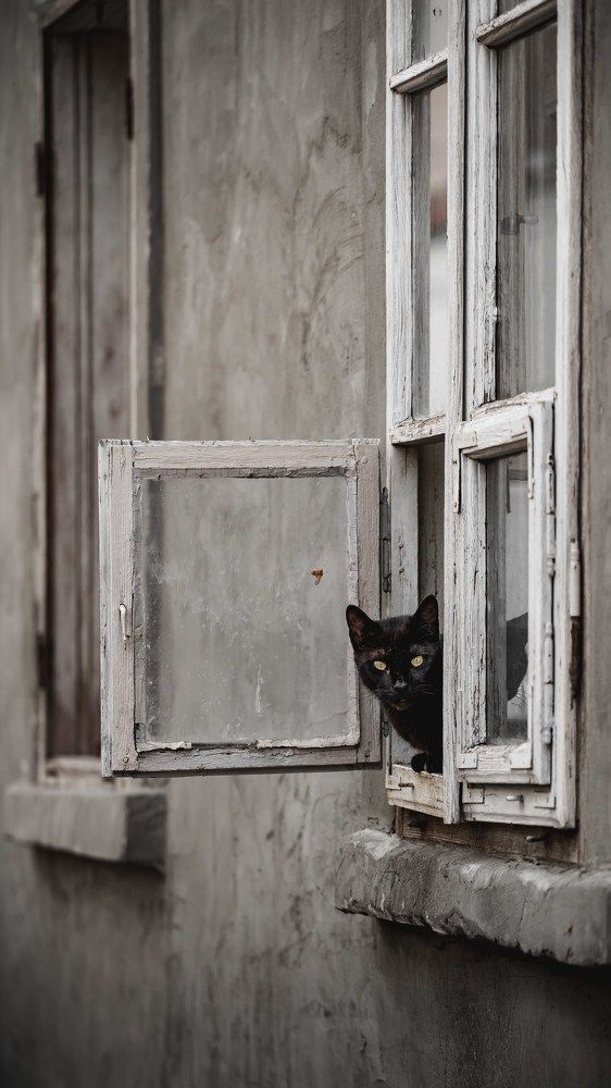 Photograph by Левичев Валетнин