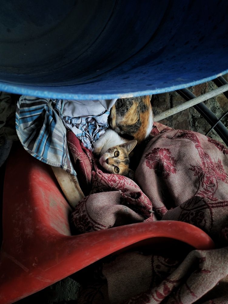 Photograph by Shekhar Kumar