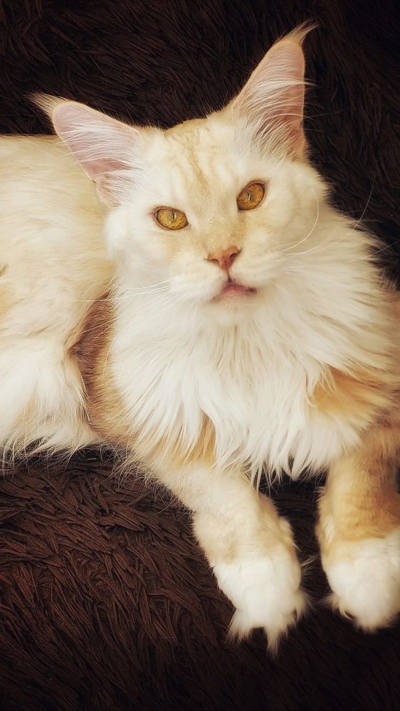 Photograph by Яна Афанасьева