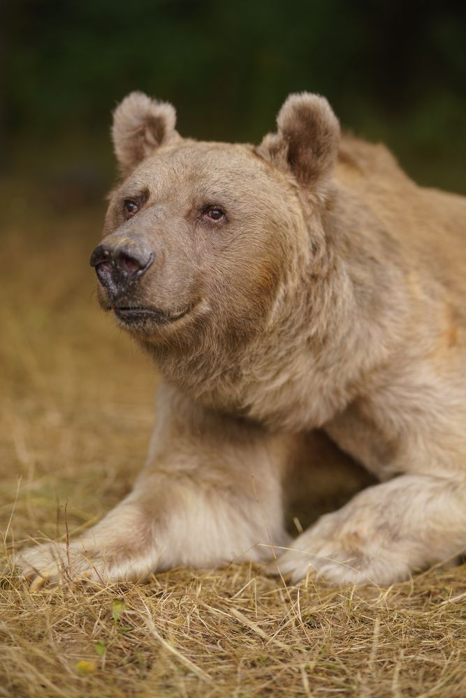 Photograph by Наталья Сидорова