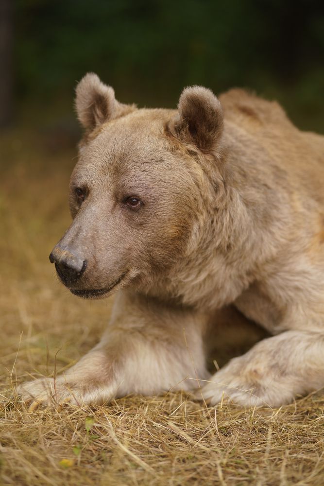 Photograph by Наталья Сидорова