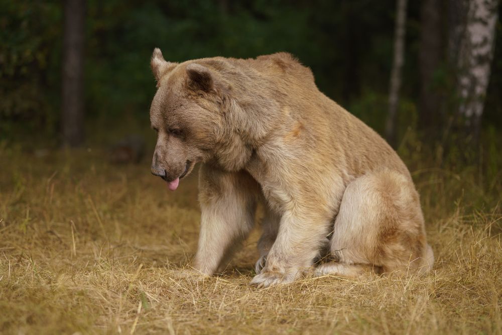 Photograph by Наталья Сидорова