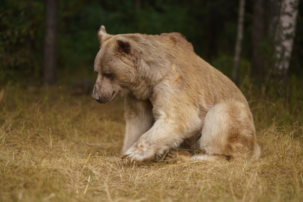 Photograph by Наталья Сидорова