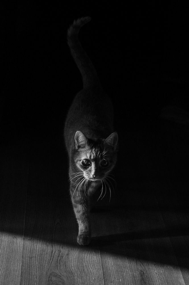 Photograph by Елена Подшевалова