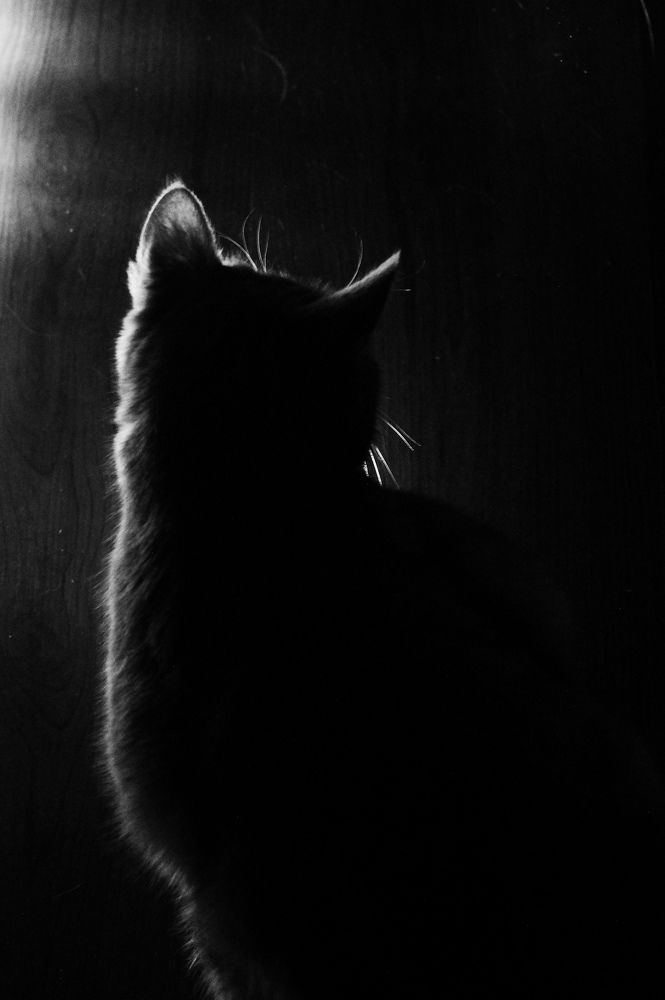 Photograph by Елена Подшевалова