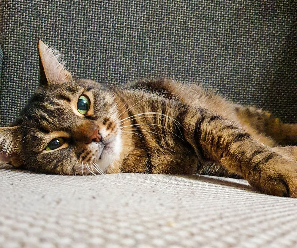 Photograph by Елена Шихалева