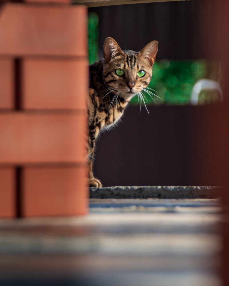 Фотография автора Сергей Рыженко